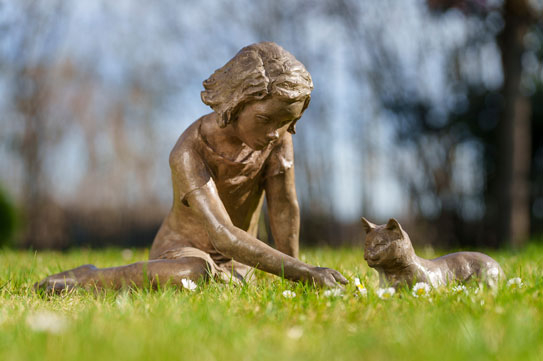 The cat