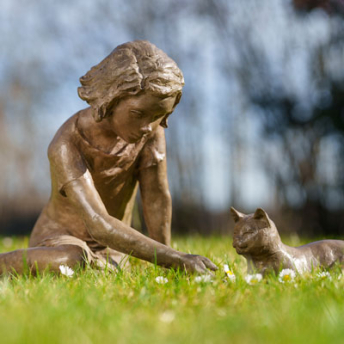 The cat